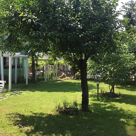 Elmar Kiten (Burgas)