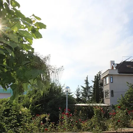 Elmar Villa